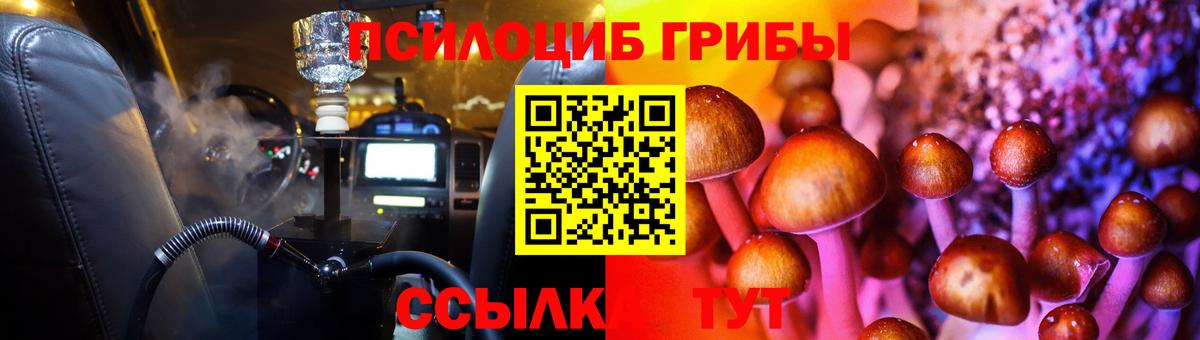 Псилоцибиновые грибы Cubensis Зеленокумск